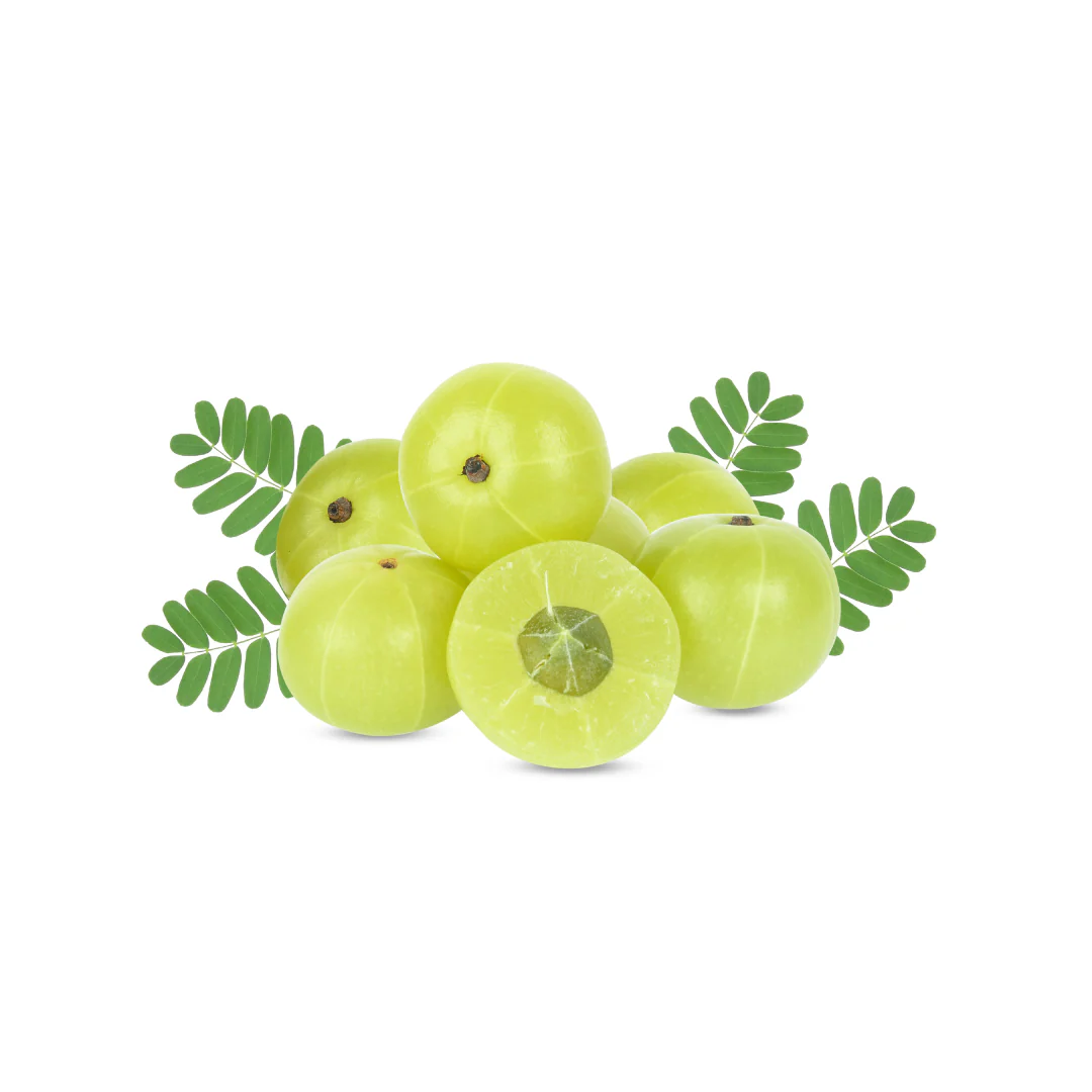 Amla / Gooseberry -5kg- (INDIA)