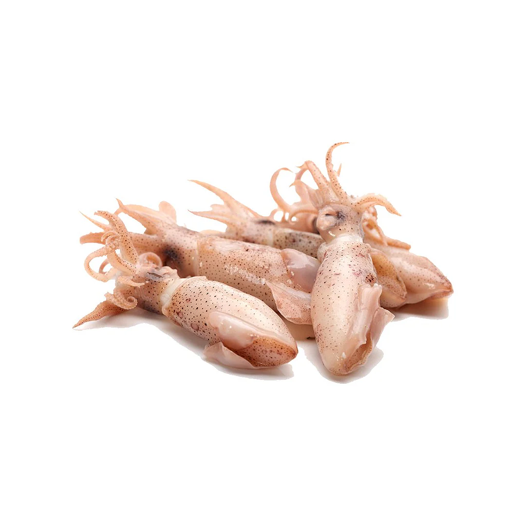Frozen Baby Japonica Squid 3-5cm (1kg x 10 Packs)