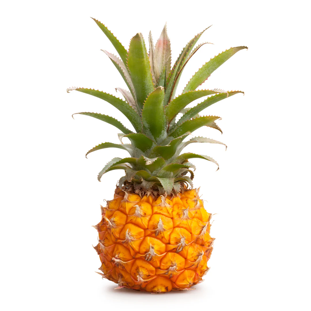 Baby Pineapple 2 Units