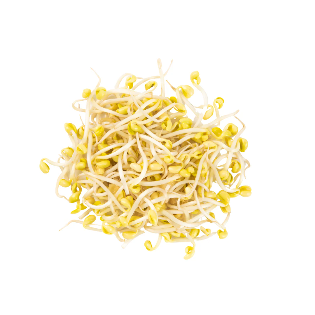 Beans Sprout 4kg