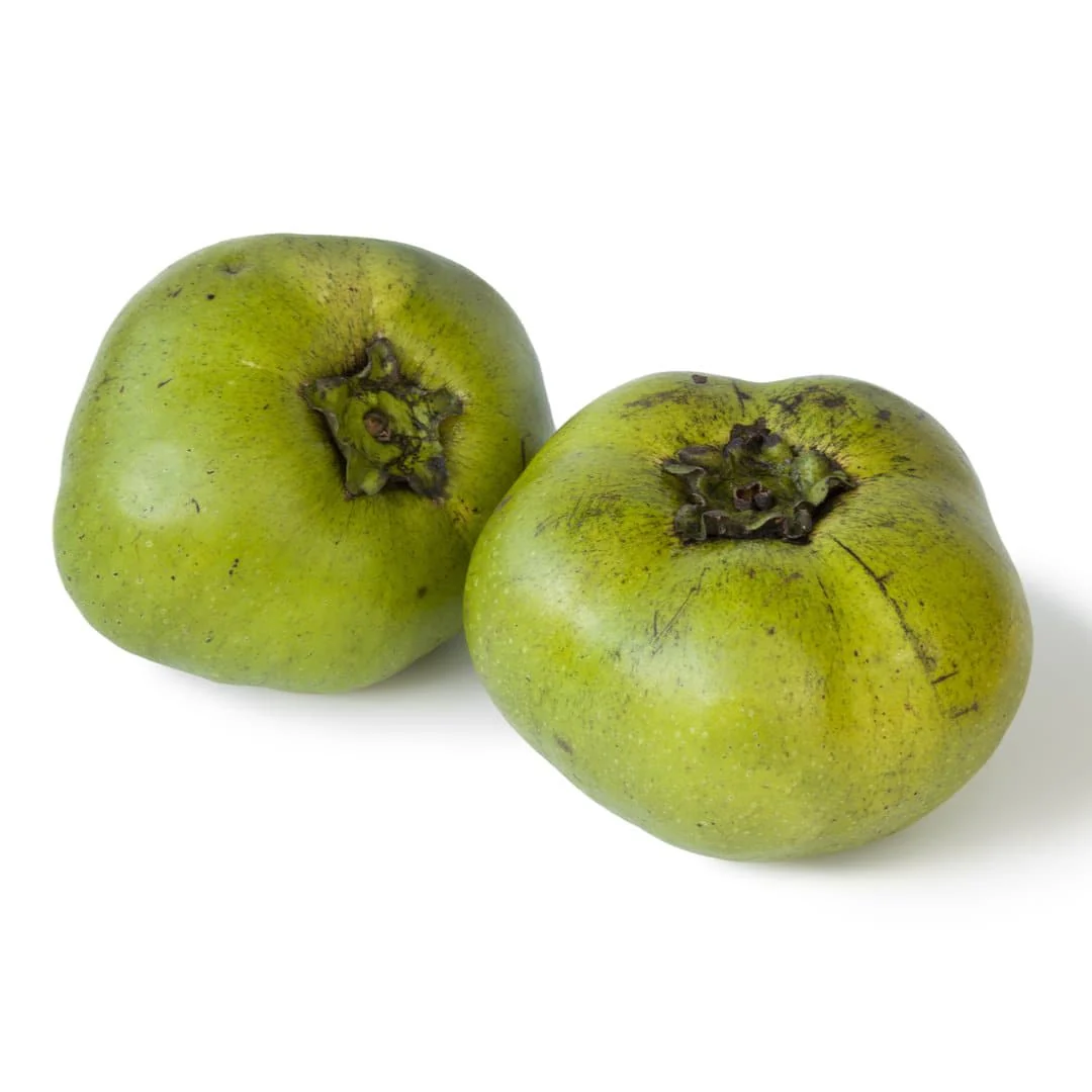 Black Sapote