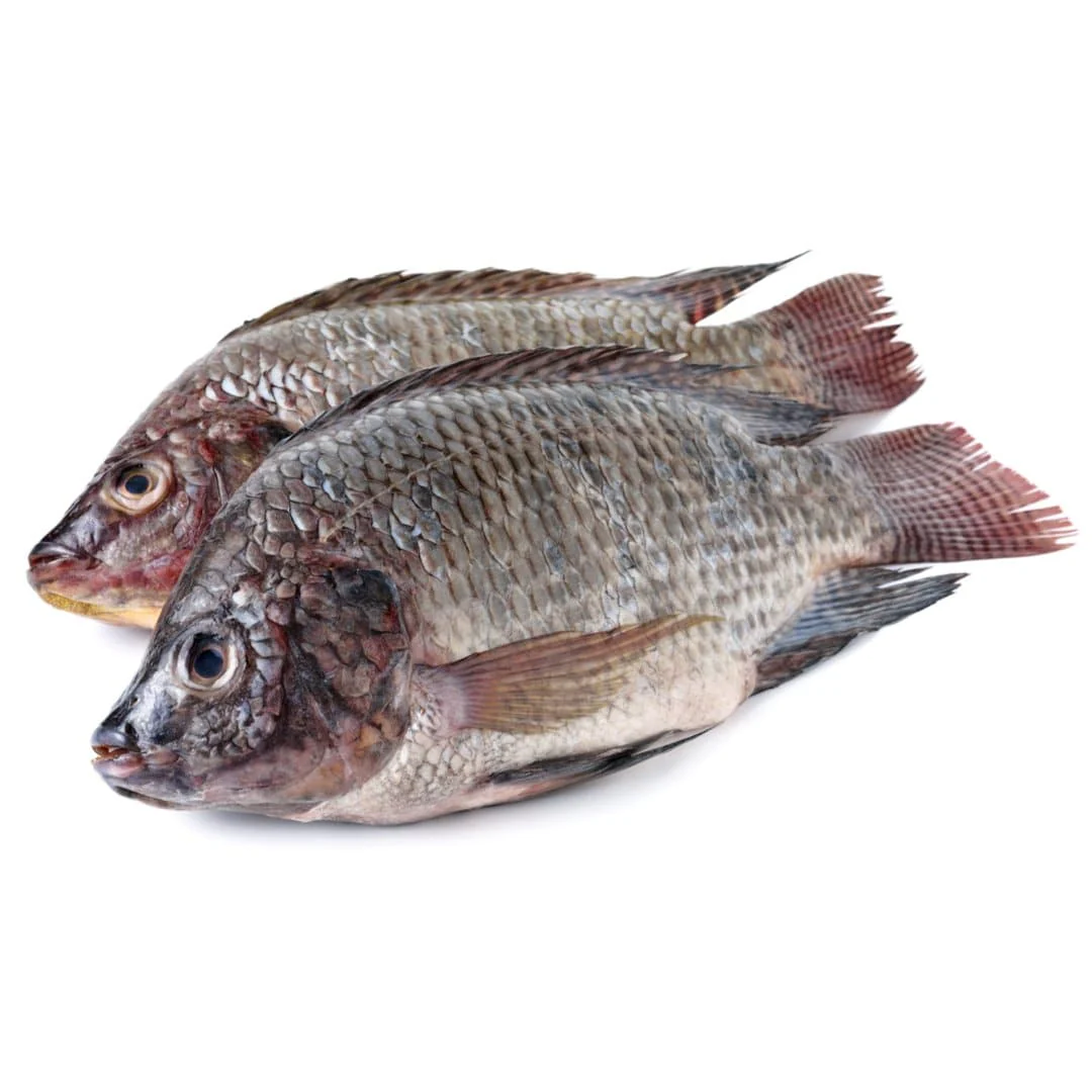 Black Tilapia 1kg