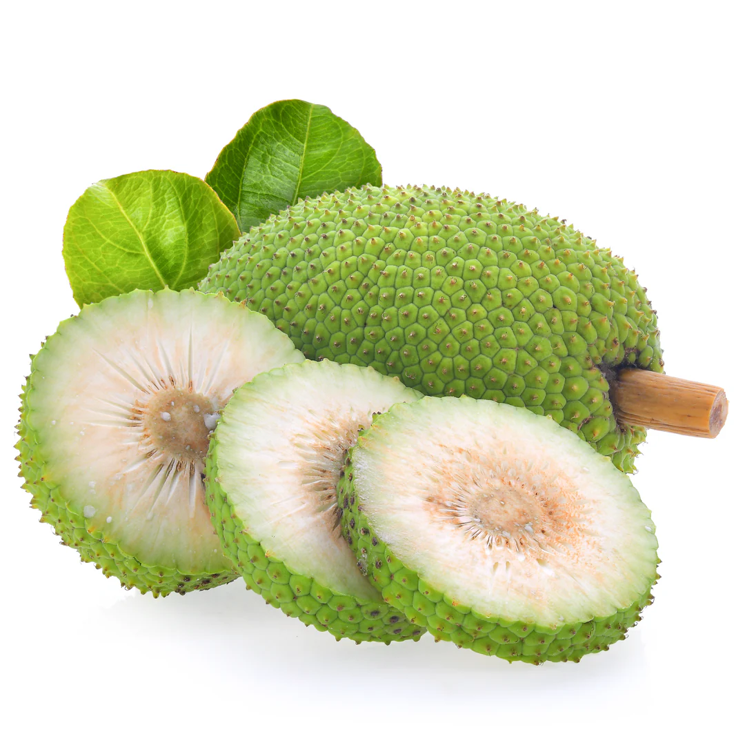 Breadfruit 1 piece ~ 1 kg