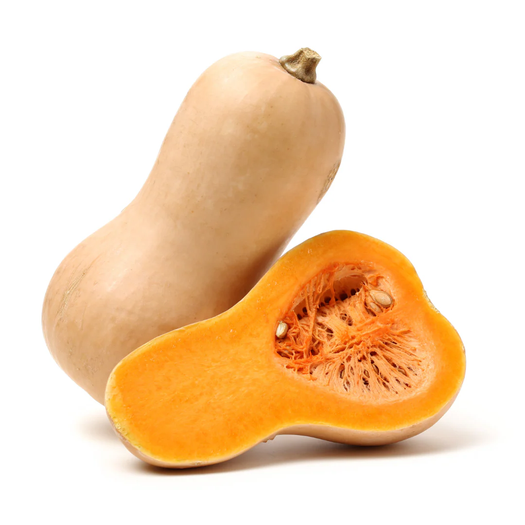 Butternut Squash - Size 8