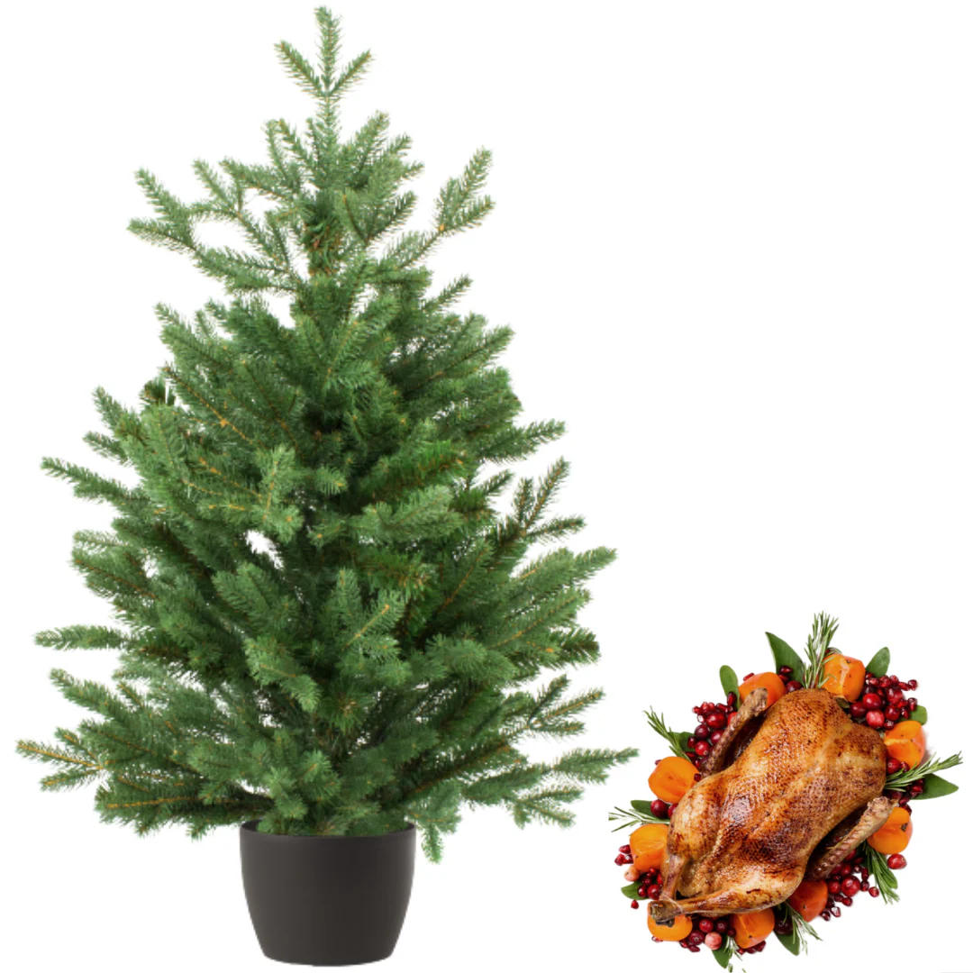 Real and Live Christmas Tree 3/5 ft with Whole Duck Hamper Gift Box
