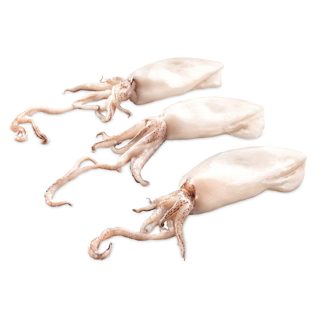 Frozen Whole Cleaned Baby Squid 20-40 (1kg x 10 Packs)