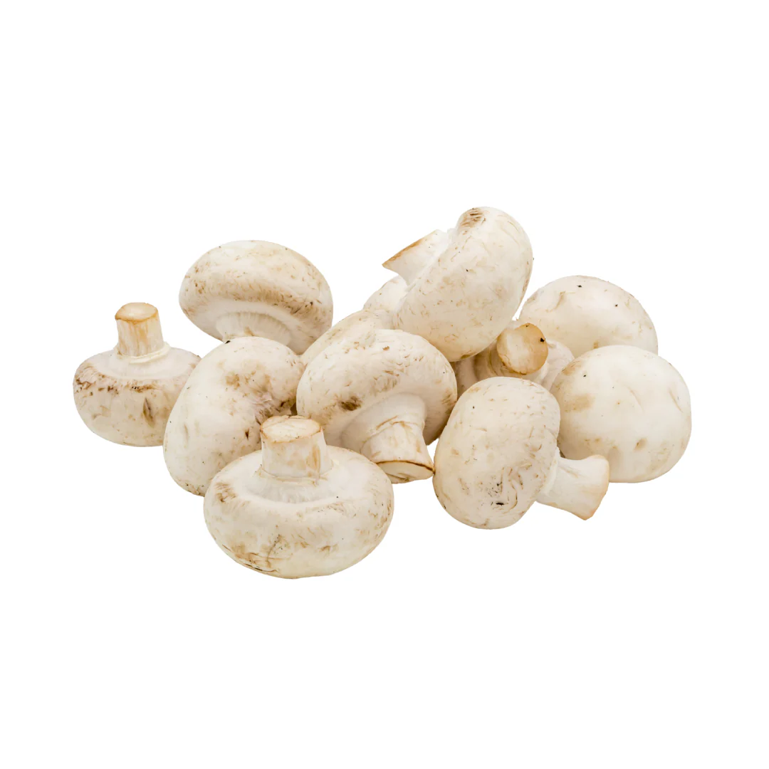 Mushroom-Closedcup 2.7kg
