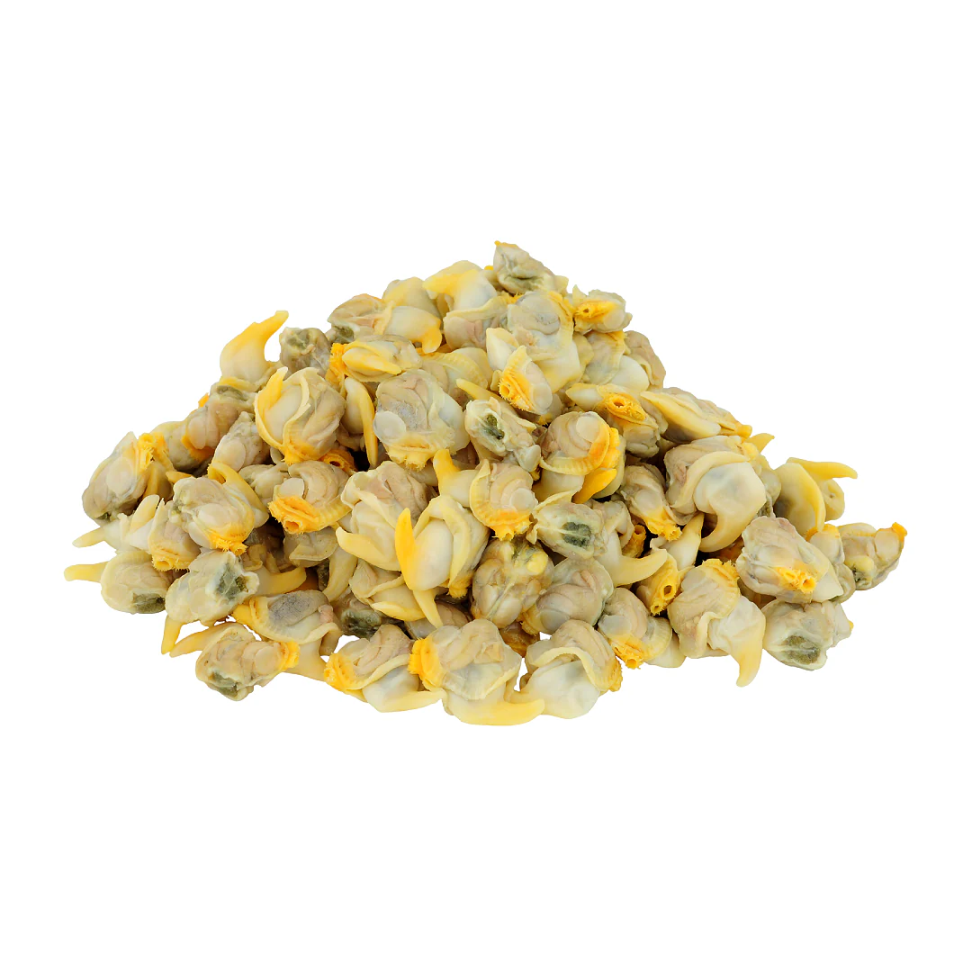 Frozen Cooked Cockle Meat 1kg x 10 Packs