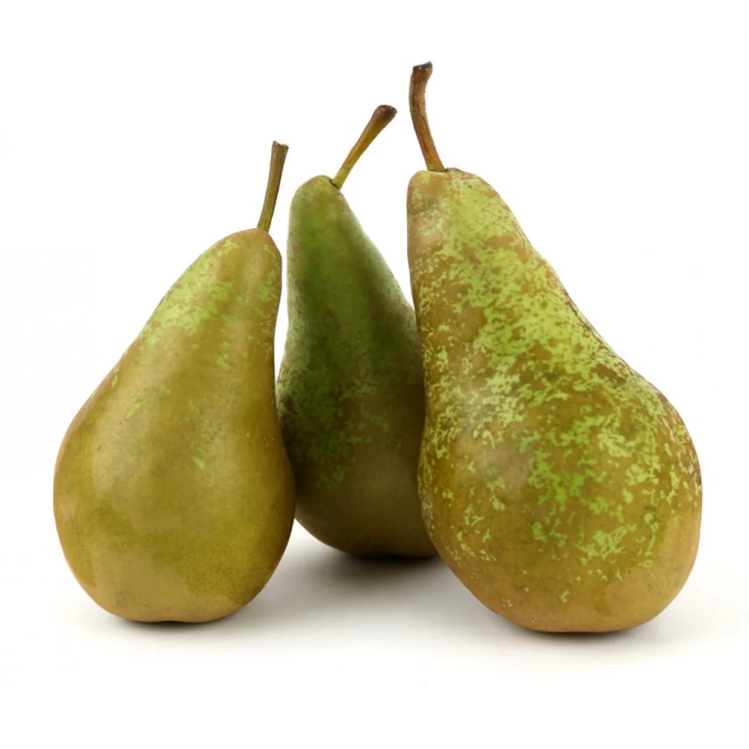 Conference Pear 4 Units