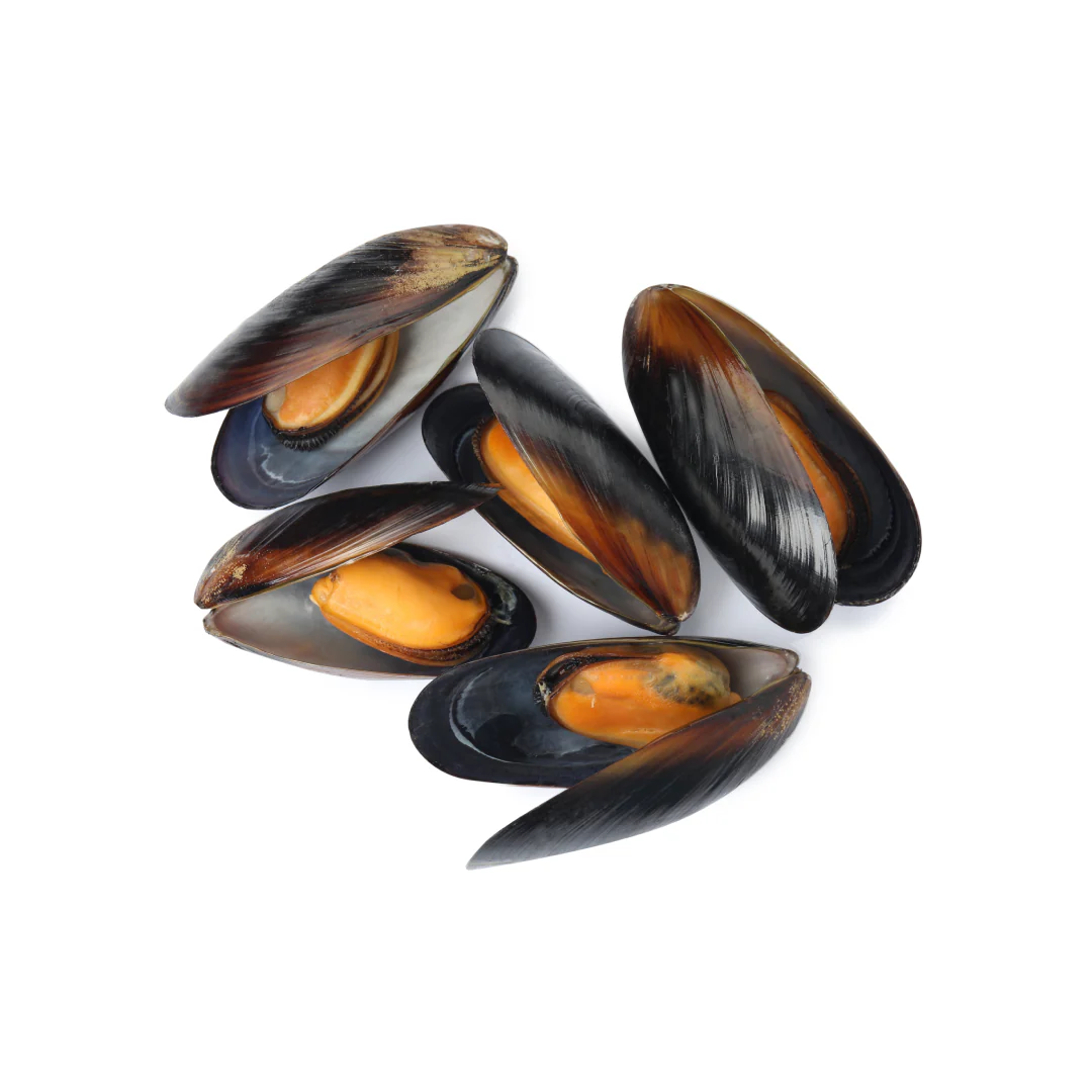 Frozen Gold Whole Cooked Chilean Mussels 1kg x 5 Packs