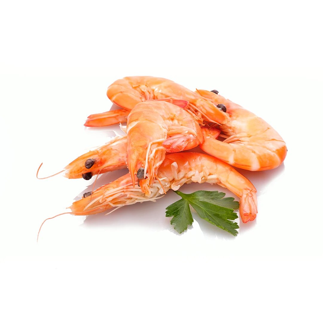 Frozen Cooked Crevettes 1kg x 10 Packs (40-60 per kg)