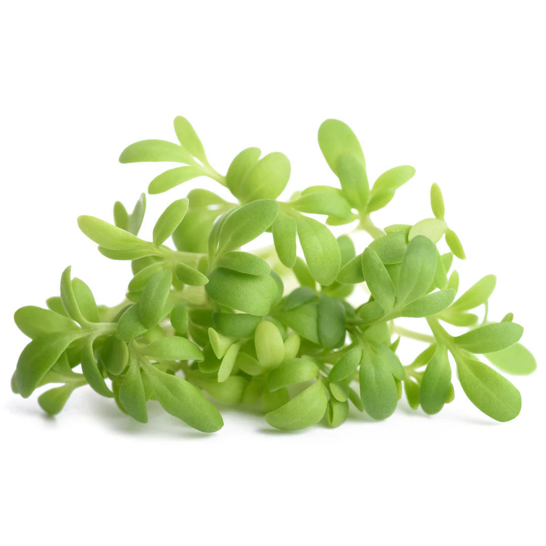 Cress 1 bunch