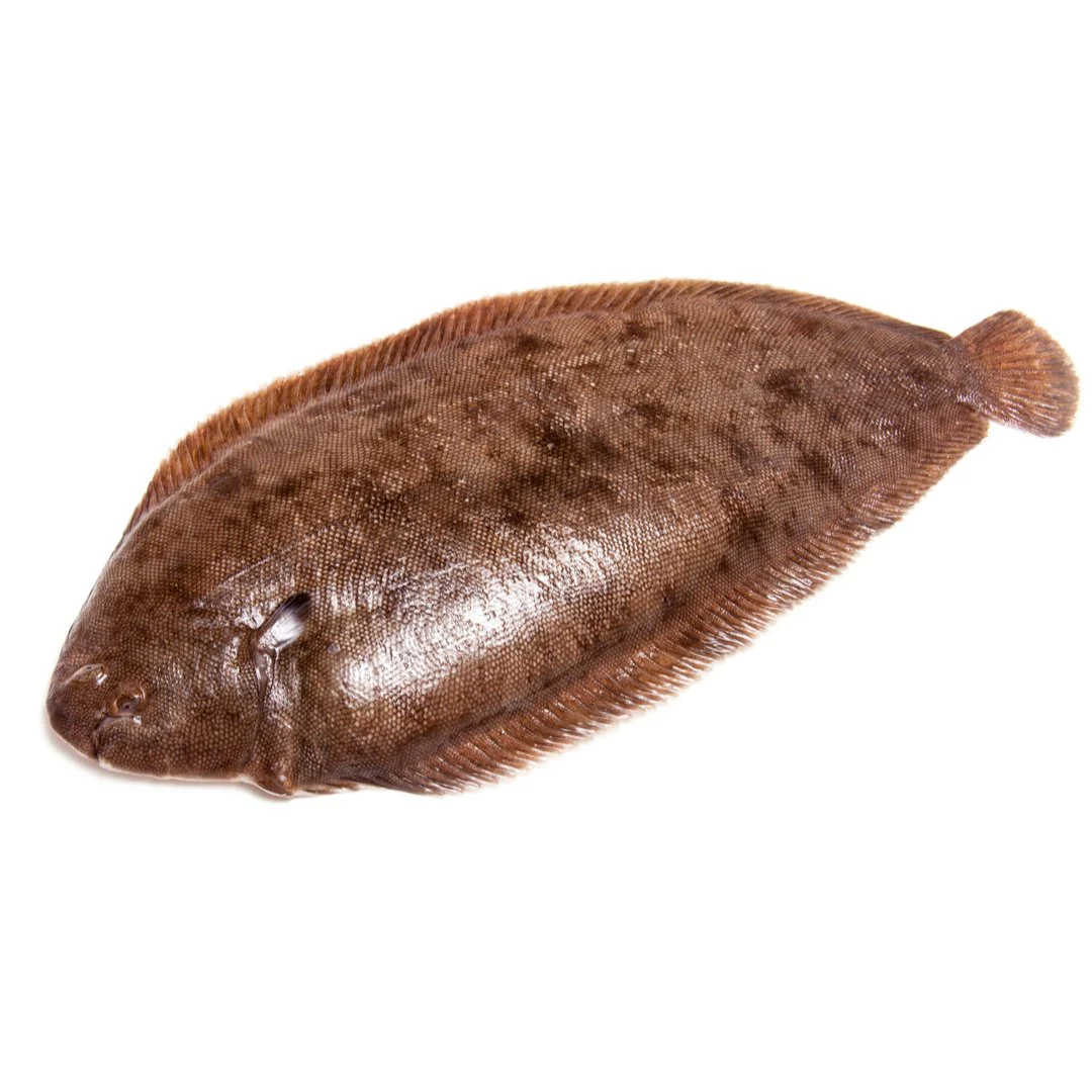 Whole Dover Sole 500gr