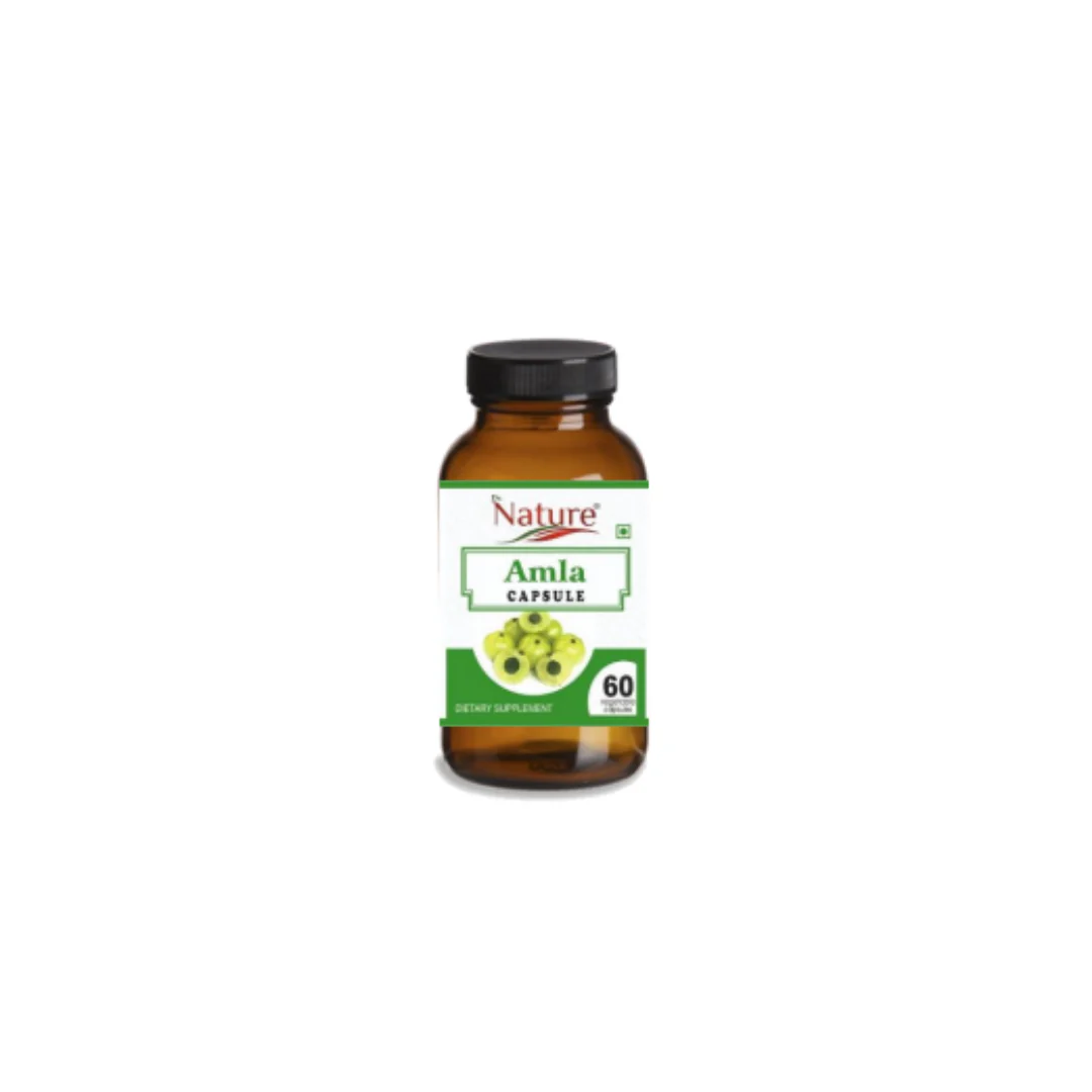 Dr. Nature Amla Capsule 60x500mg x 6 pack