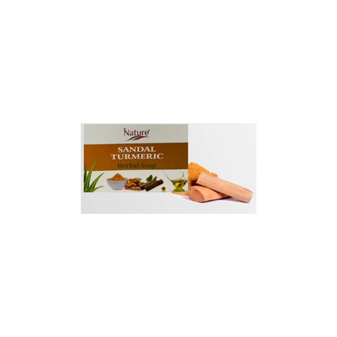 Dr. Nature Herbal Soap - Sandal Turmeric 100g x 6 pack