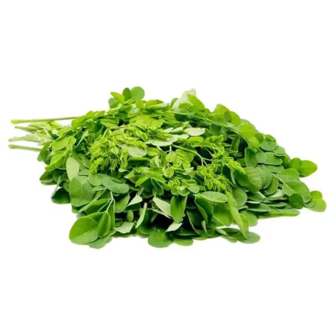 Blue Jay Thai Fresh Drum Stick Leaves 100gr