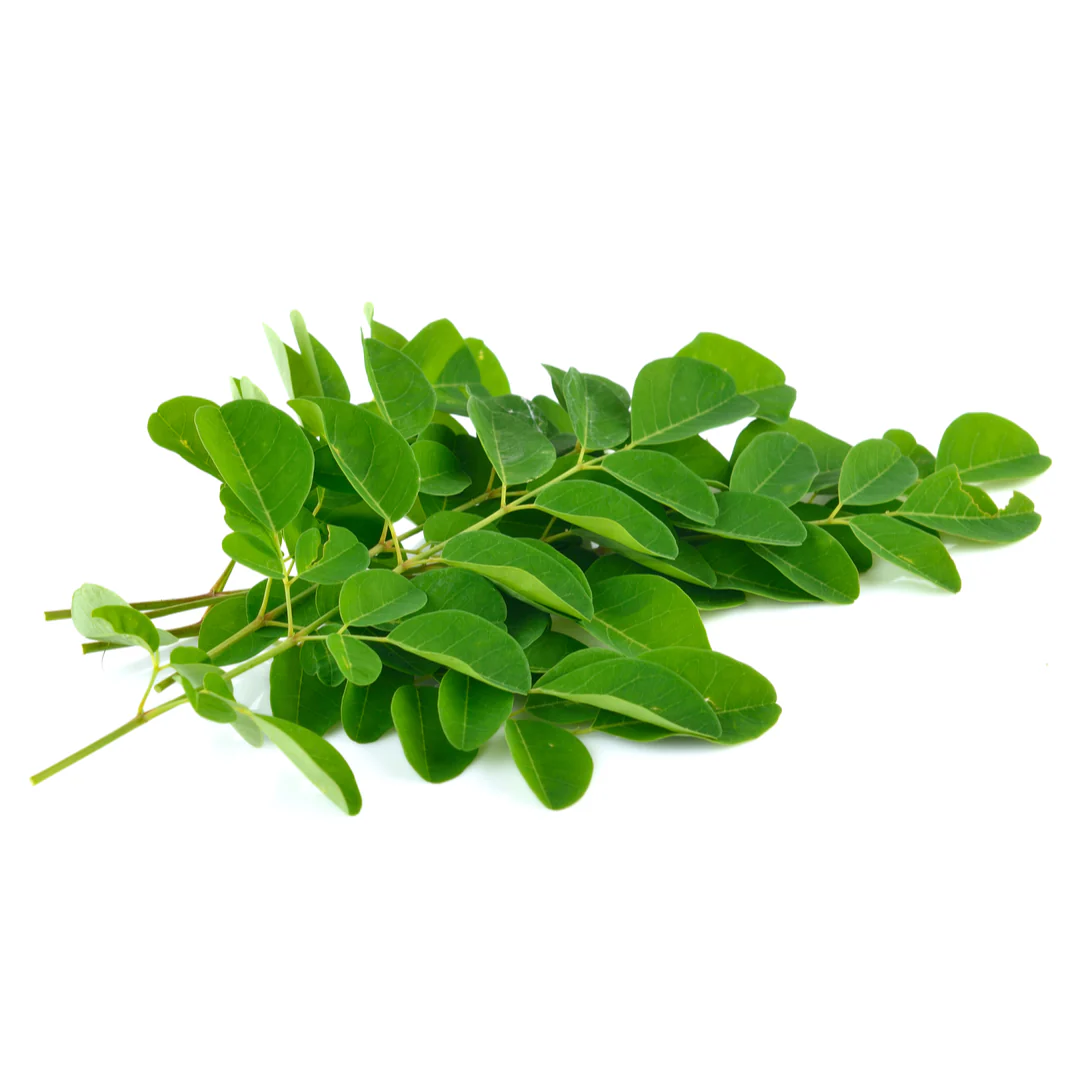 Drumstick / Moringa Leaves 250gr