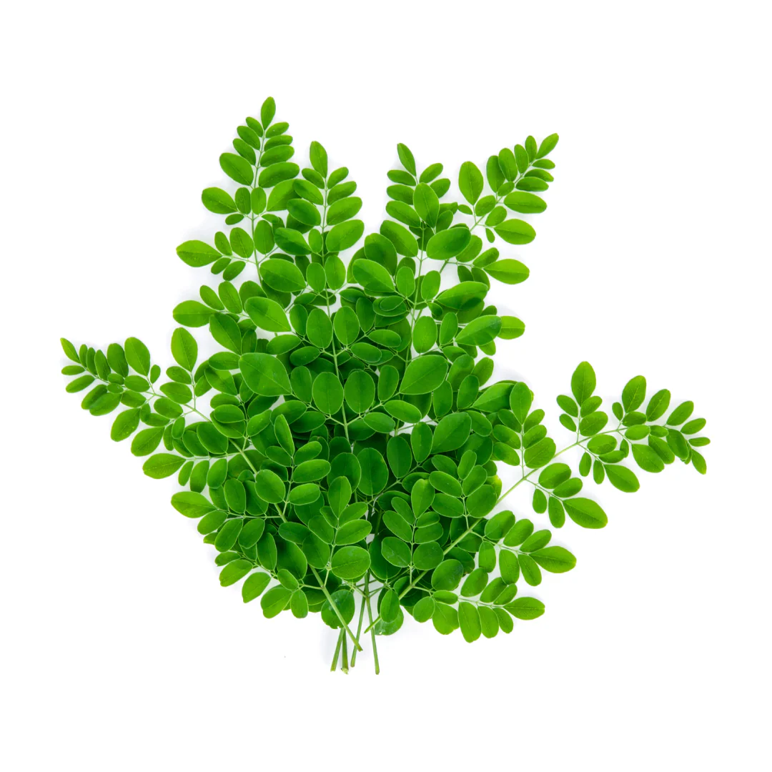 Drumstick Leaves / Moringa 4kg