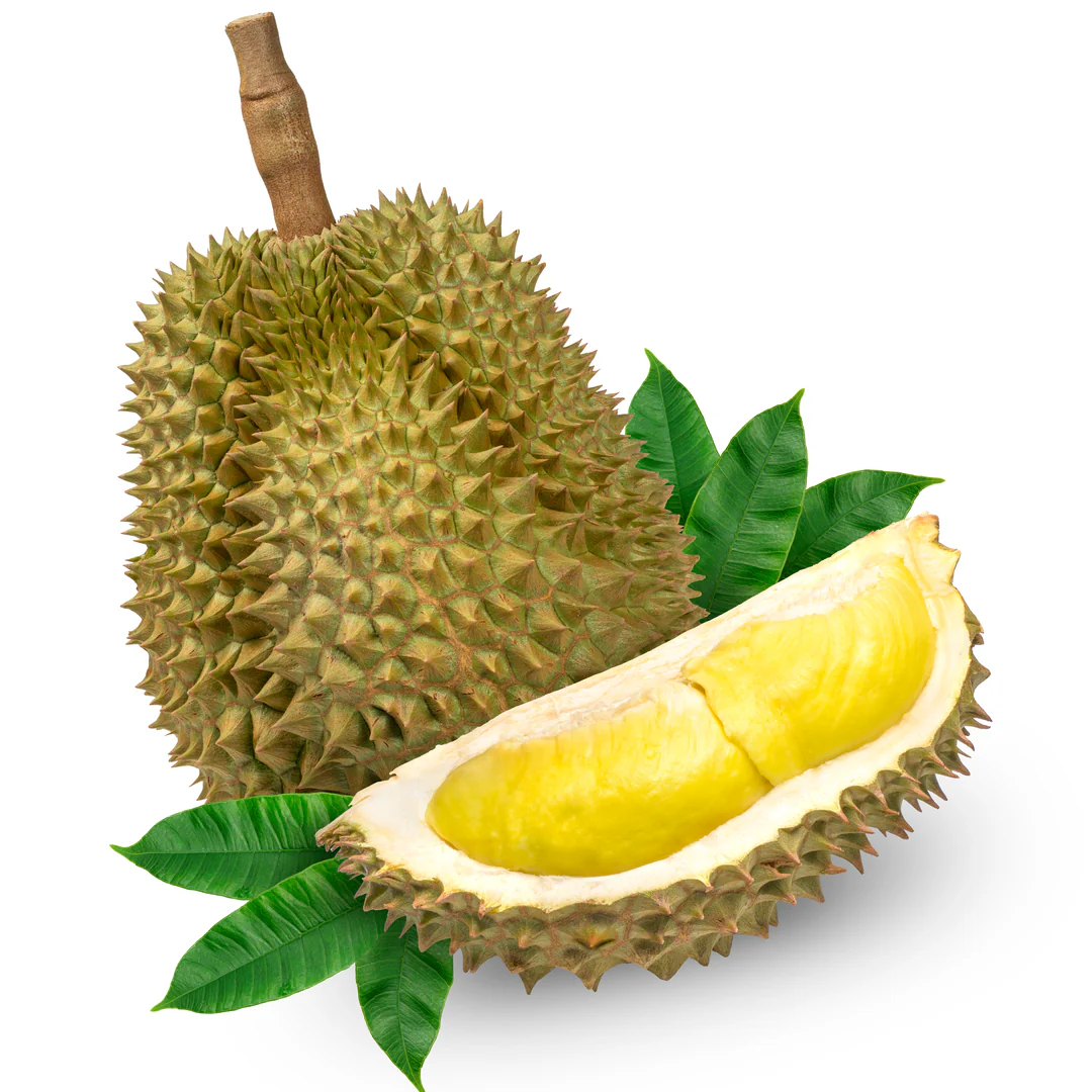 Durian Whole | Fresh Import from Thailand ~ 4-5kg