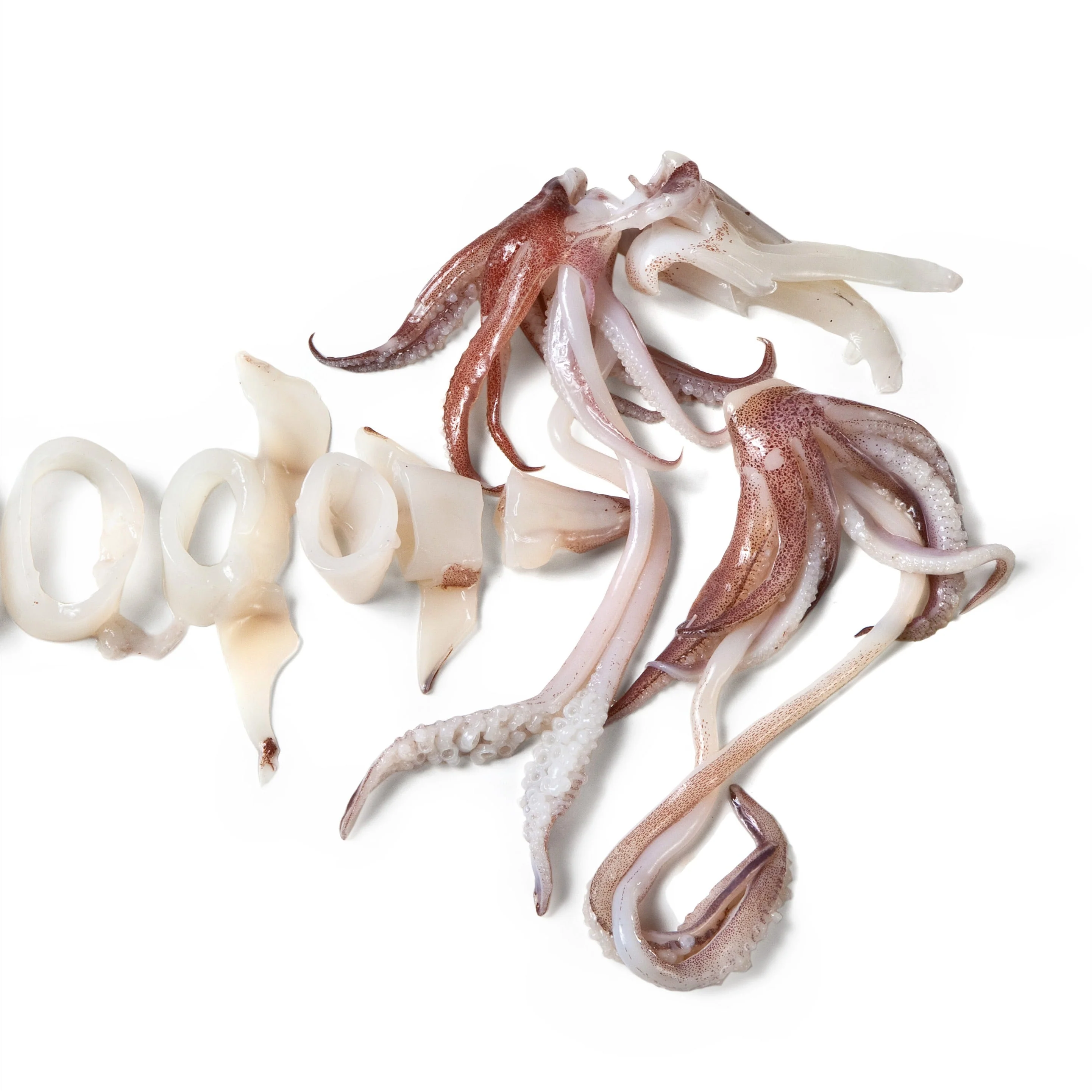Frozen Dusted Loligo Squid 1kg x 4 Packs