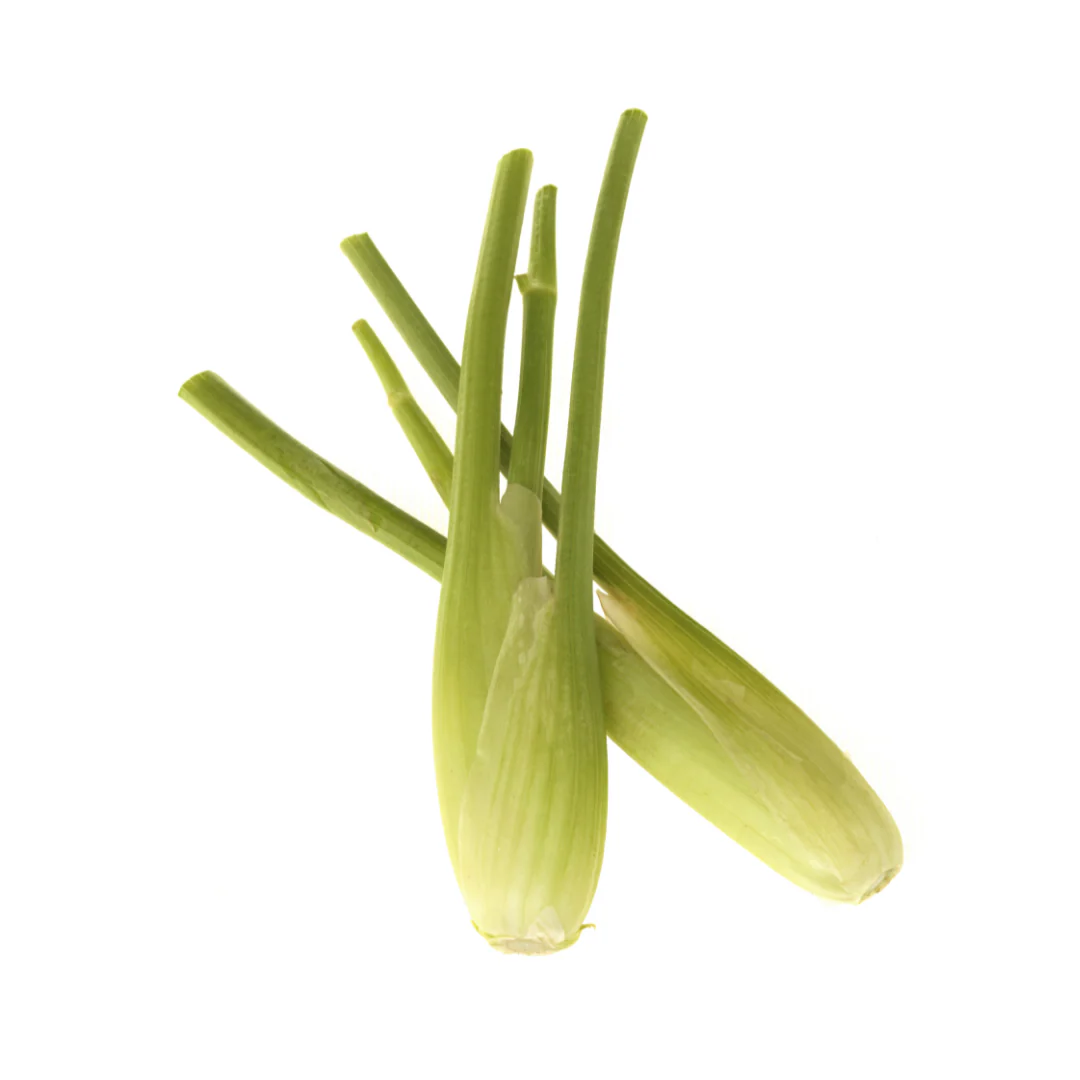 6x Baby Fennel 200g