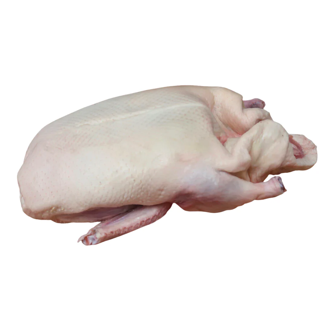 Frozen Whole British Goose | 5.5~6 kg