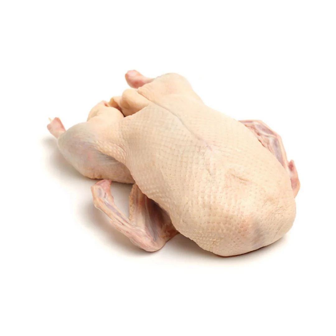 Frozen Halal Whole Goose | 5.5~6 kg