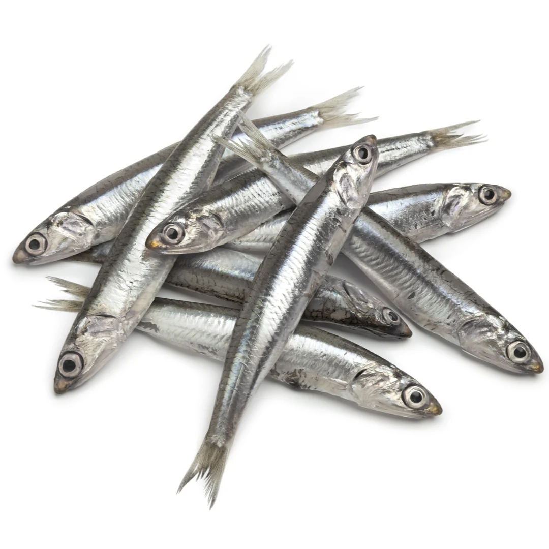 Fresh Anchovies 1kg