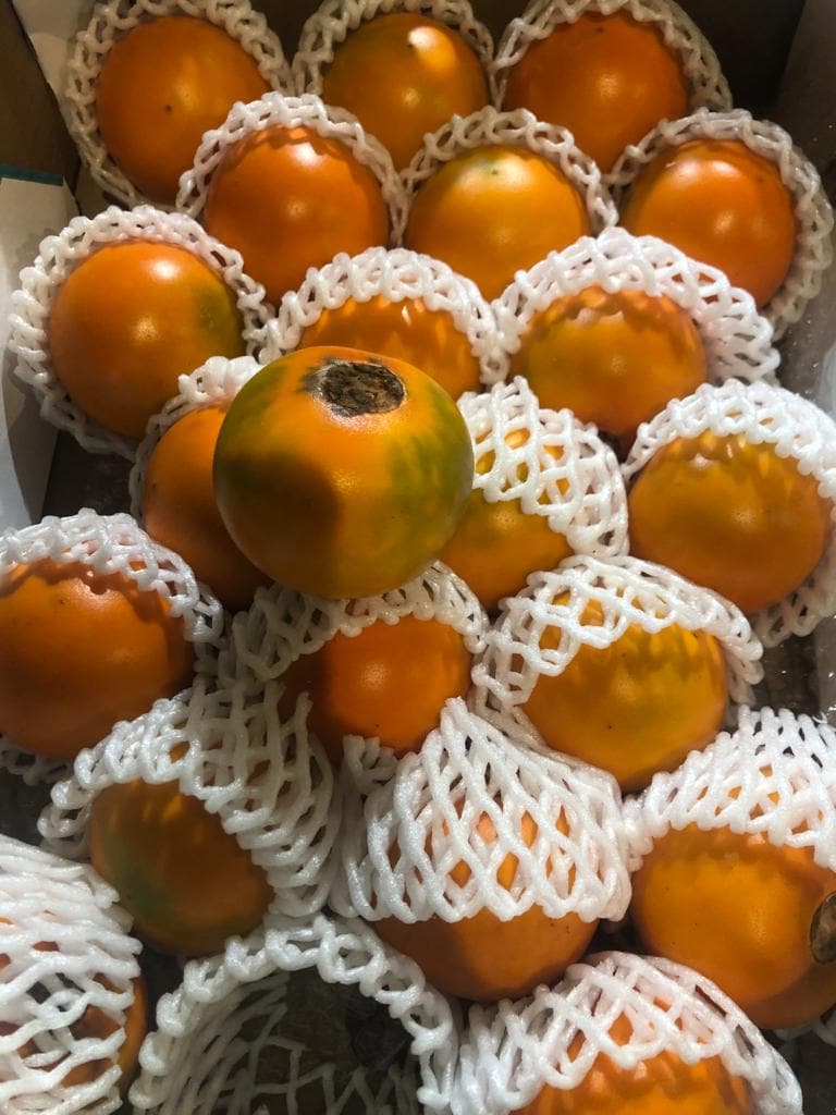Fresh Lulo Fruit 4 Units | Product of Colombia - Image 2