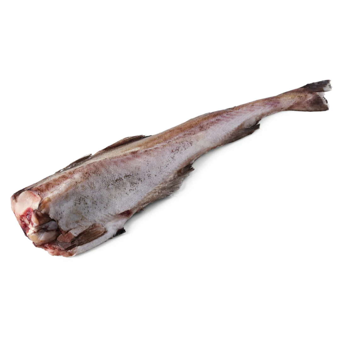 Fresh Pollock 2-2.5kg