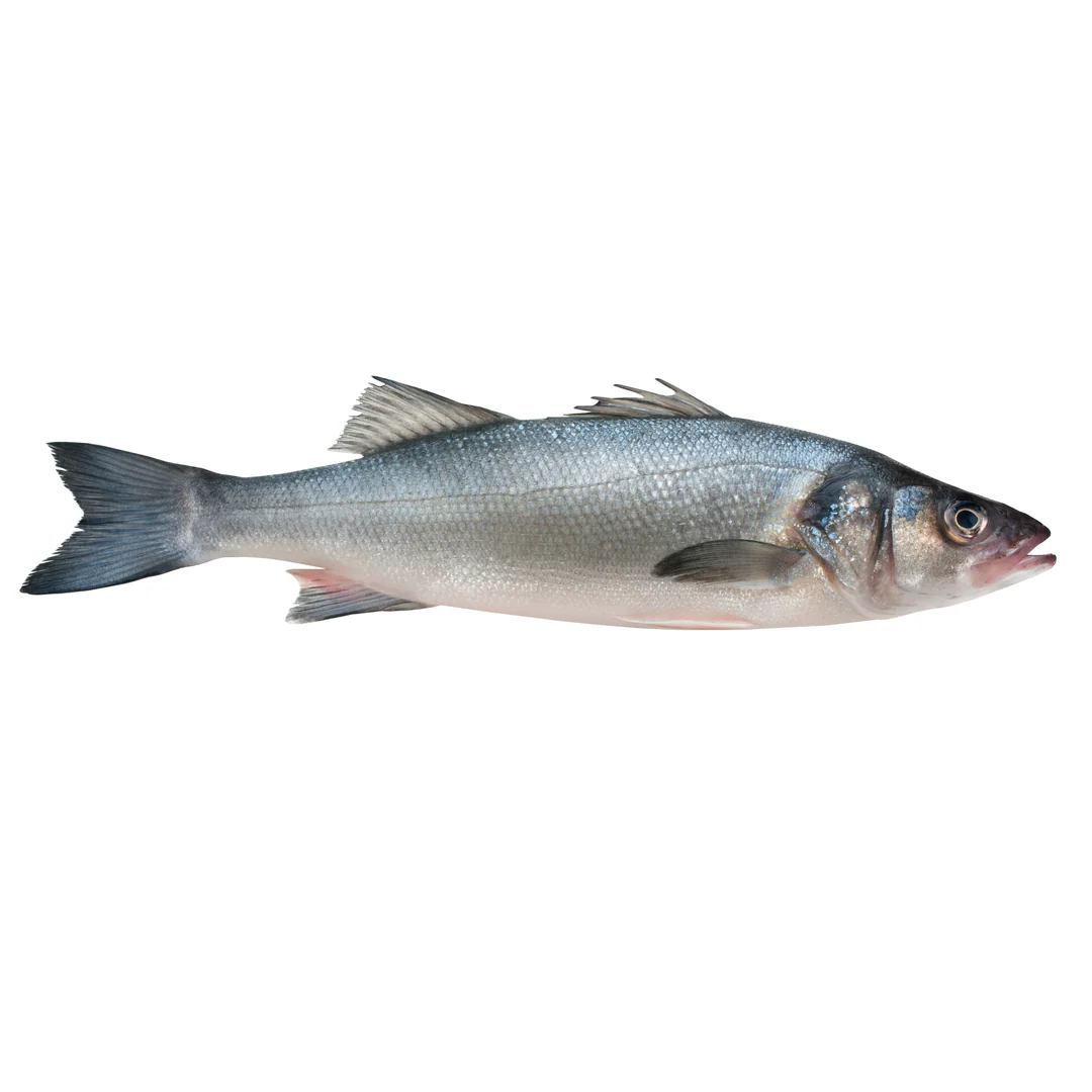 Fresh Whiting 1kg