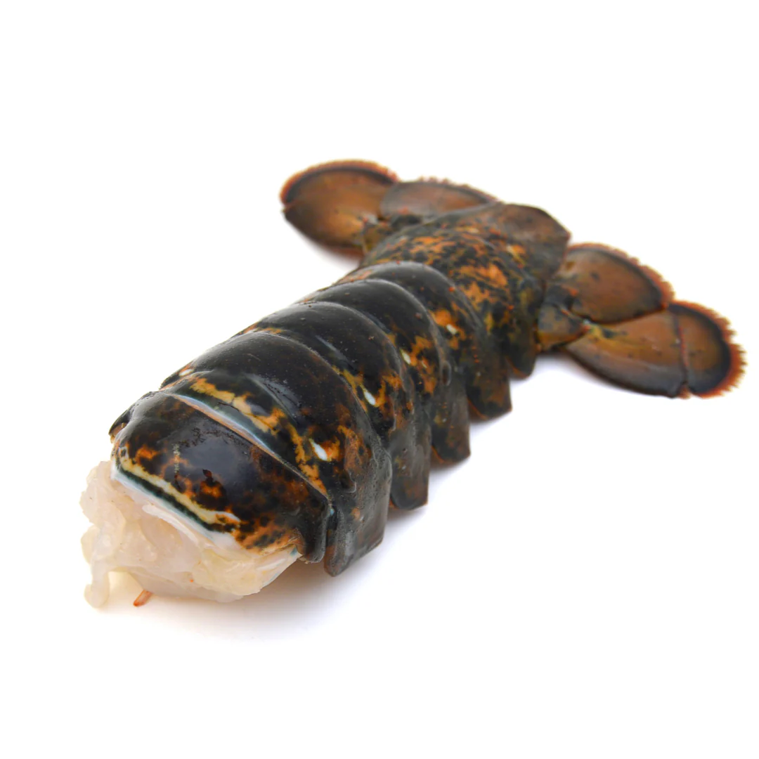 Frozen Caribbean Lobster Tail 250gr