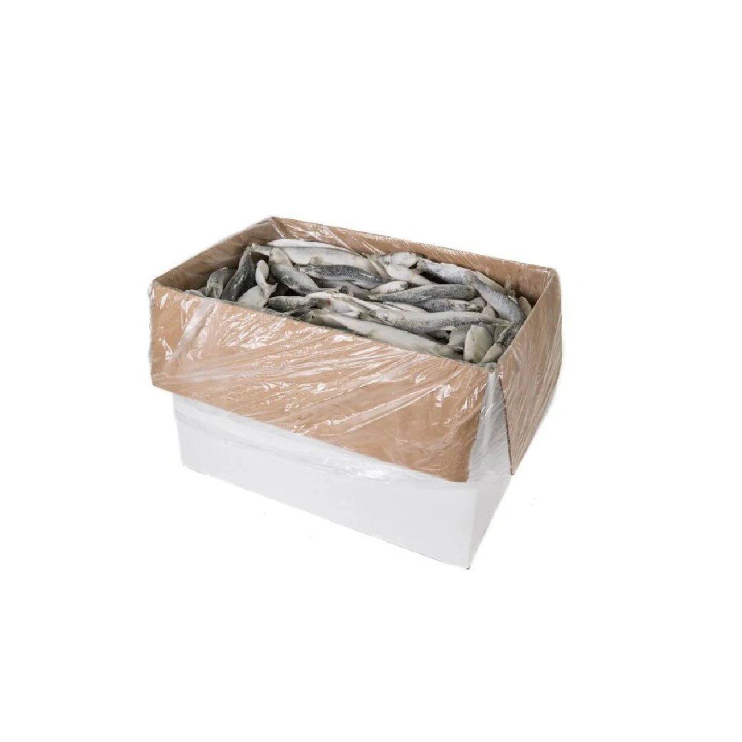 Frozen Herrings Wholesale