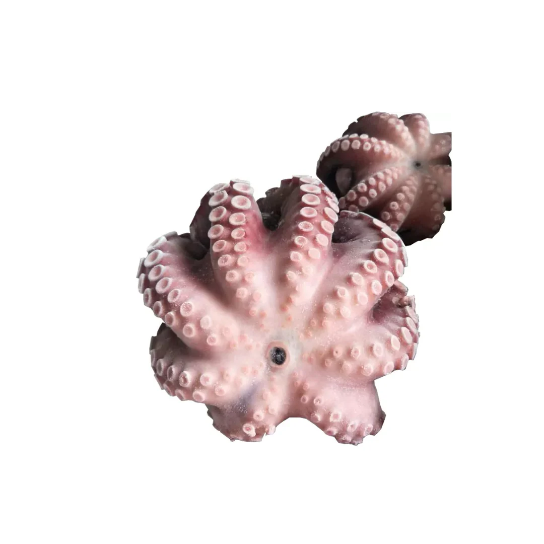 Frozen Raw Octopus Gutted 1.5kg