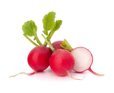 Radish Bunched(15)