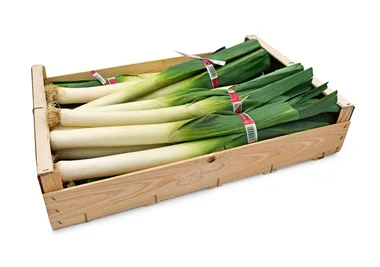 Leeks 5kg