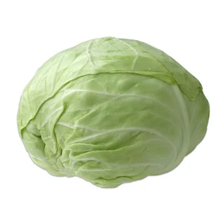 Turkish Cabbage(4Pc-6Pc)
