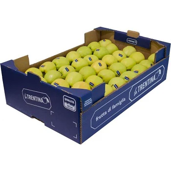 Golden Blush(Yellow Delicious) Apple 60
