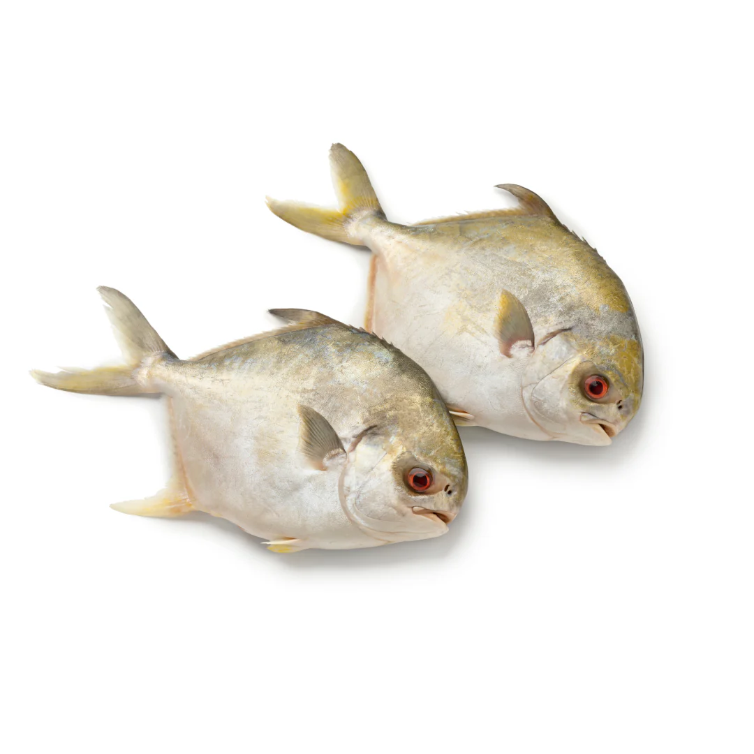 Frozen Whole Golden Pomfret 400-500g (10kg)