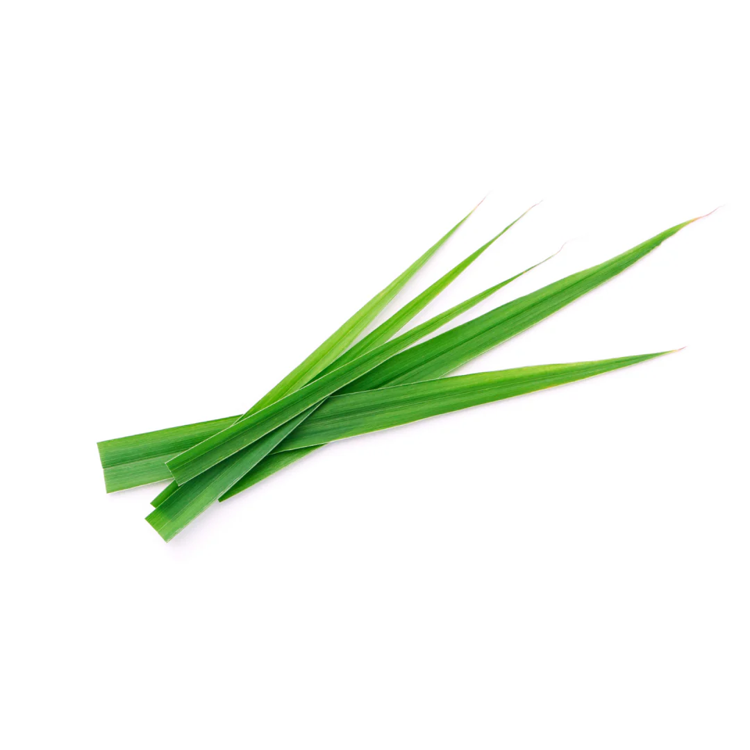 12x Lemon Grass 80g