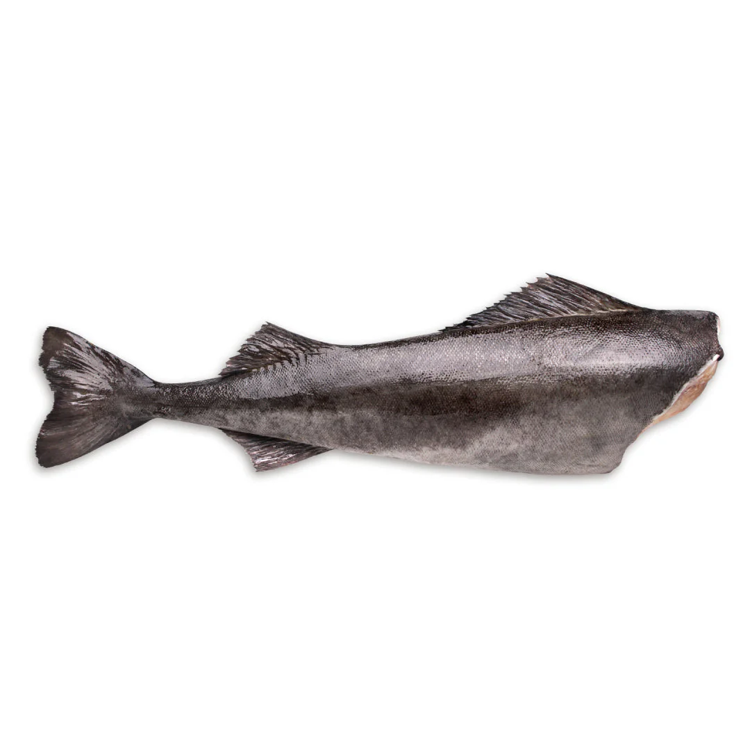 Frozen Headless & Gutted Black Cod 22.68kg