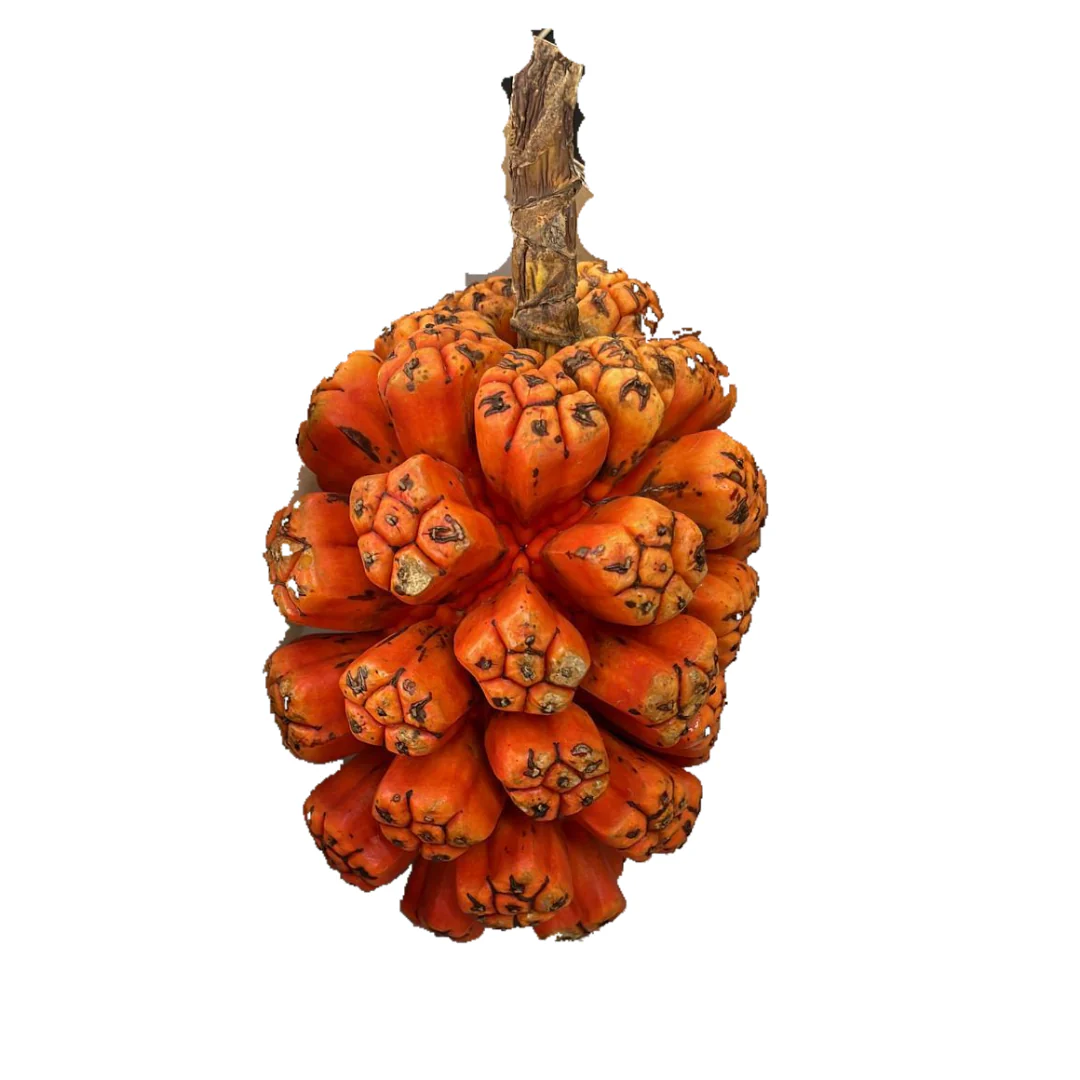 Hala Fruit 1kg from Indonesia