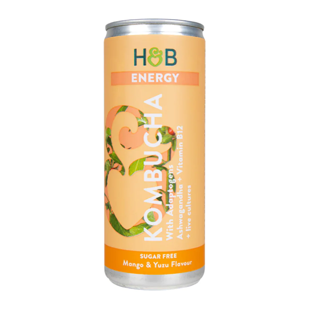 Holland & Barrett Energy Kombucha 250ml
