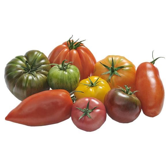 Fresh Heritage Tomatoes 3.5kg - Image 2