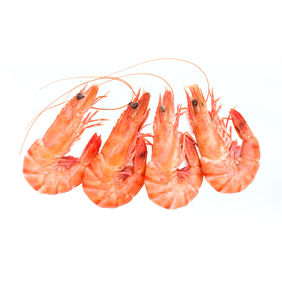 Cooked Shell On Frozen Cold Water Prawns (80-100 Prawns) 5kg