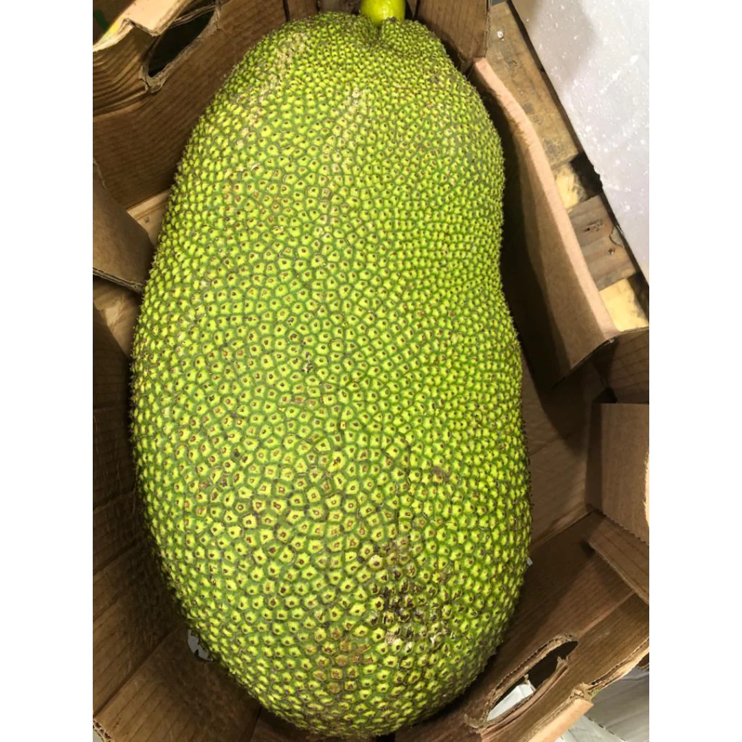 Whole Thai Jackfruit ~12-15 kg | Fresh Weekly Import From Thailand - Image 4