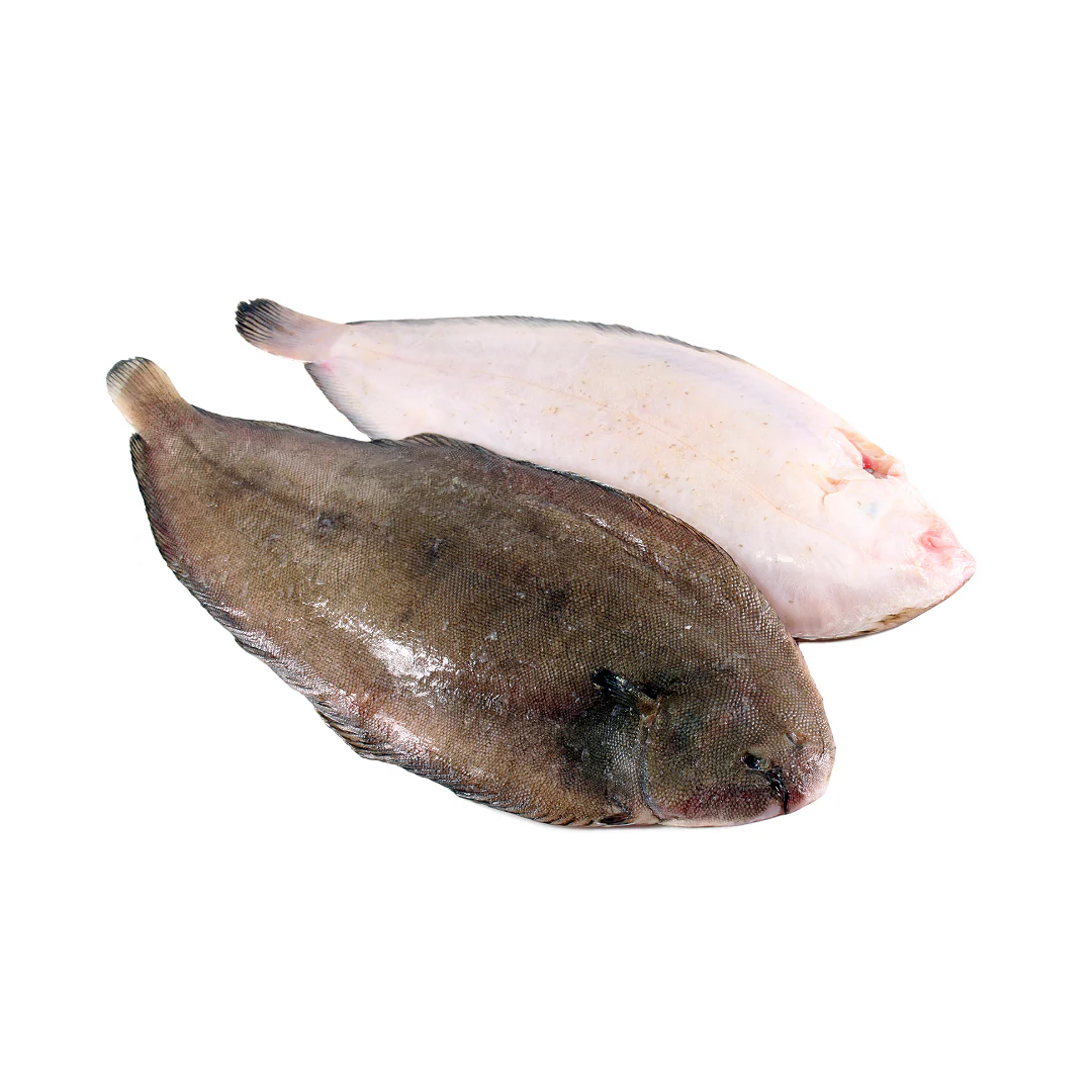 Frozen Skin-On Lemon Sole Fillets 6-8oz (4.54kg)