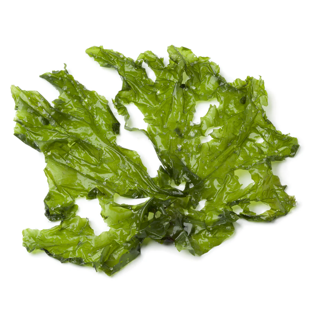 Fresh Lettuce Seaweed 1kg