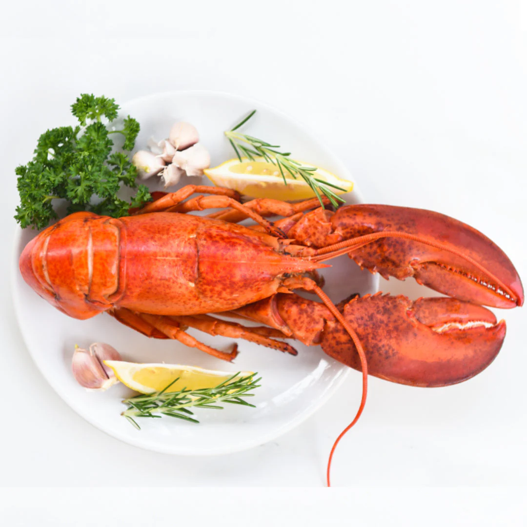 Frozen Whole Cooked Lobsters in Brine 325g x 10 Packs