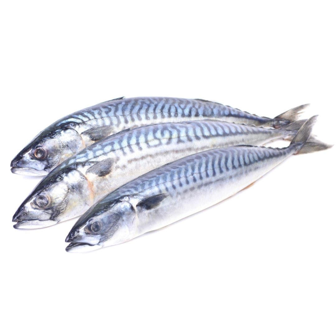 Mackerel Fish 500gr